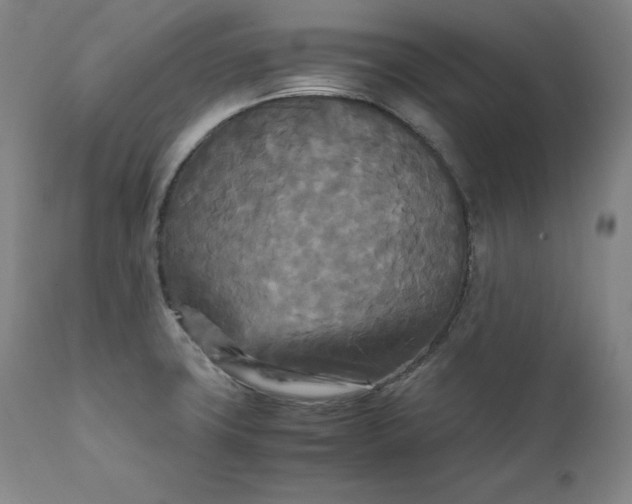 X0000111211427200907151427