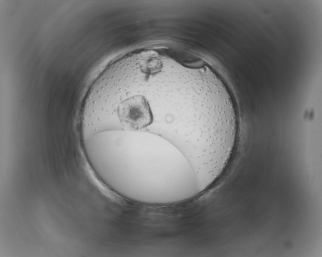 X0000111211429200907151427