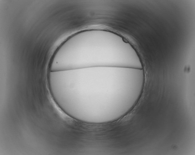 X0000111211430200907151427