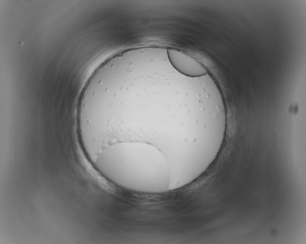 X0000111211431200907151427