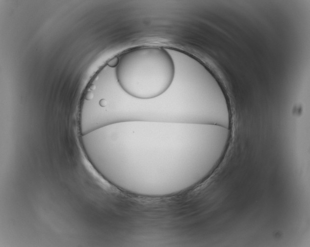 X0000111211432200907151427