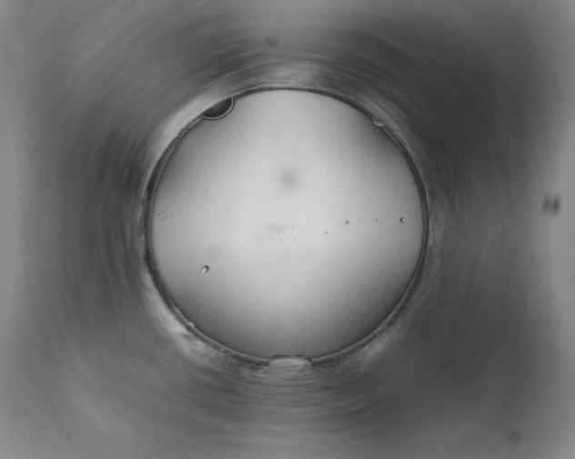 X0000111211434200907151427