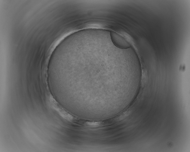 X0000111211435200907151427