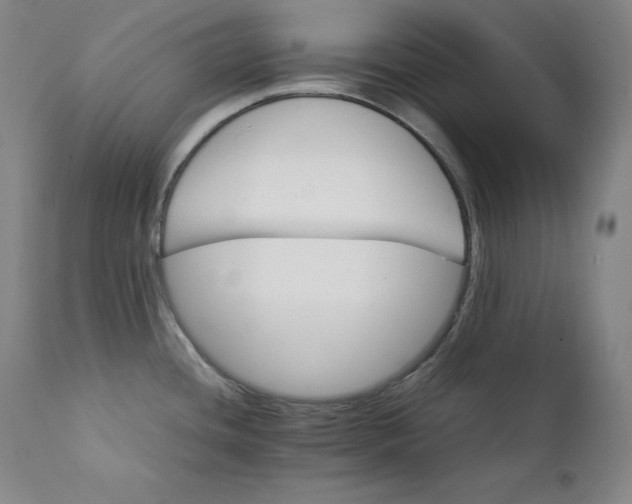 X0000111211436200907151427