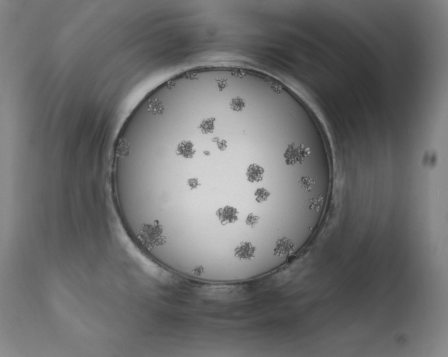 X0000111211437200907151427