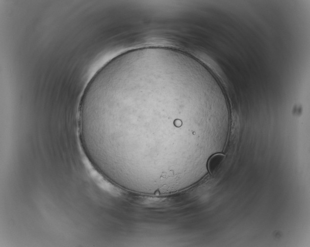 X0000111211439200907151427