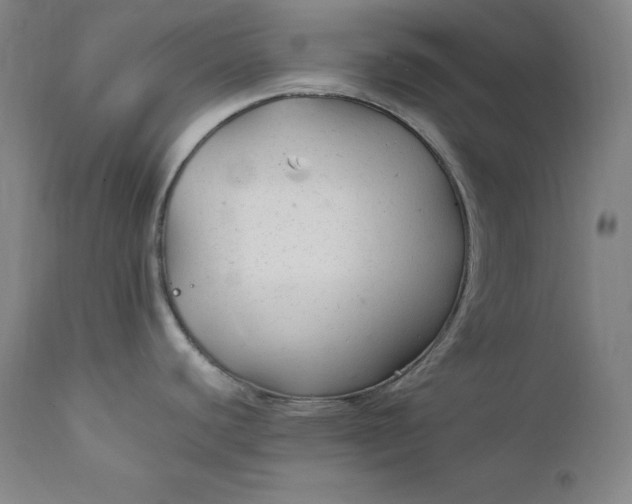 X0000111211440200907151427