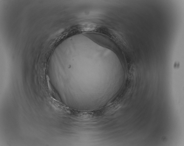 X0000111211441200907151427