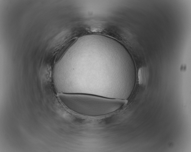 X0000111211443200907151426