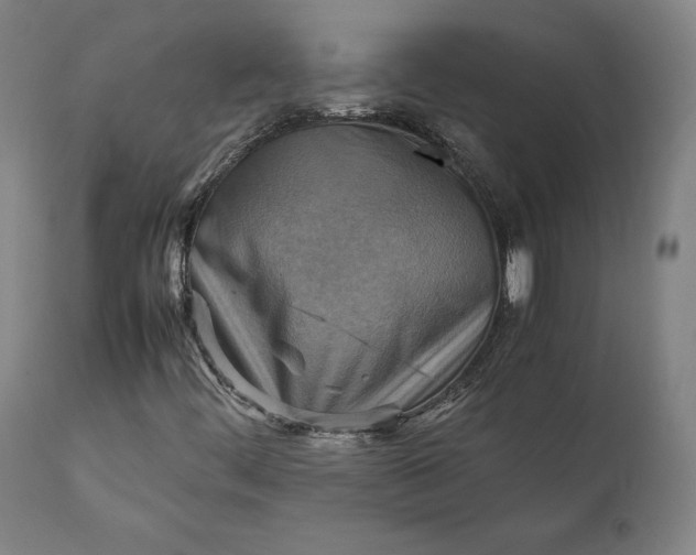 X0000111211444200907151426