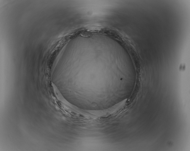 X0000111211445200907151426