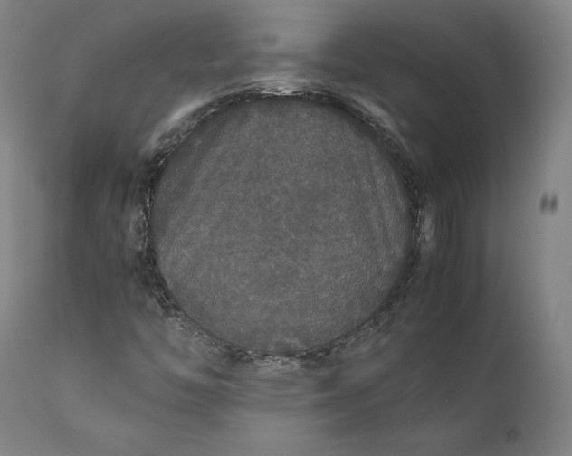 X0000111211446200907151426