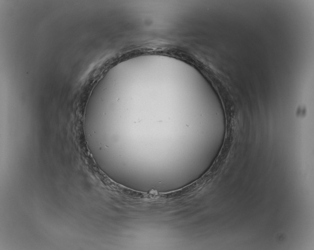 X0000111211447200907151426