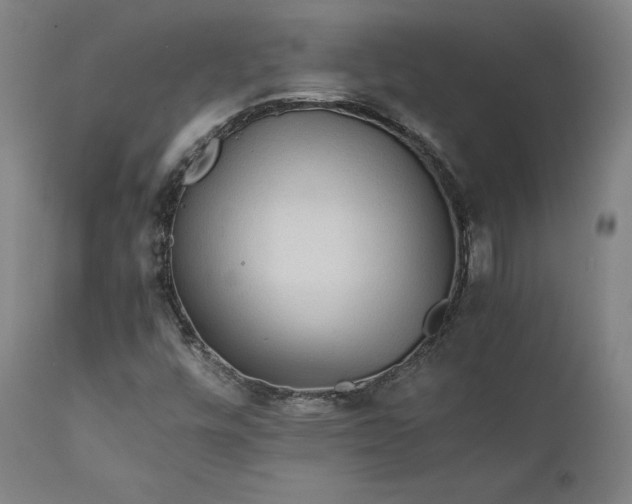 X0000111211448200907151426