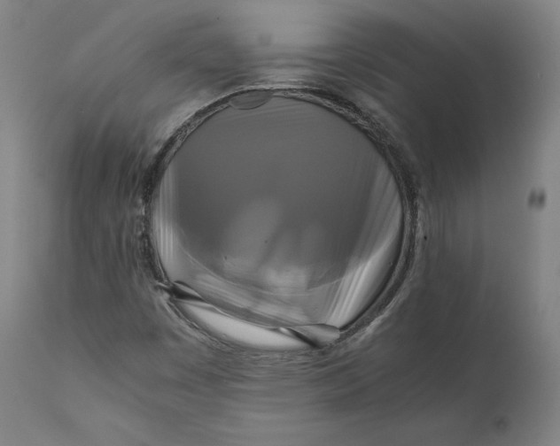 X0000111211449200907151426