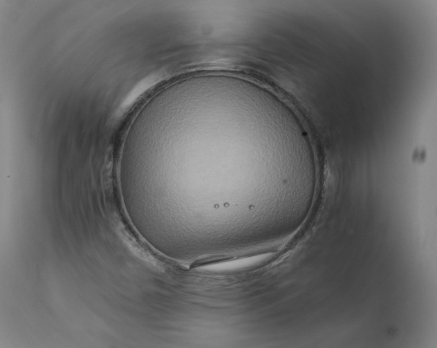 X0000111211450200907151426