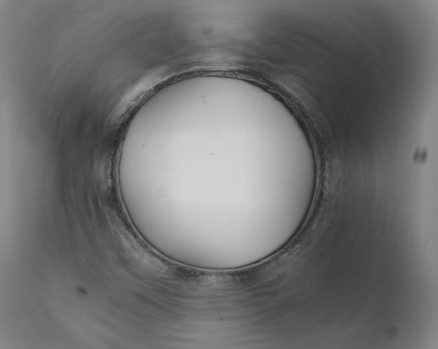 X0000111211451200907151426