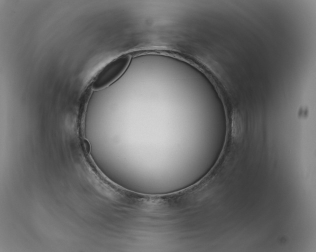 X0000111211452200907151426