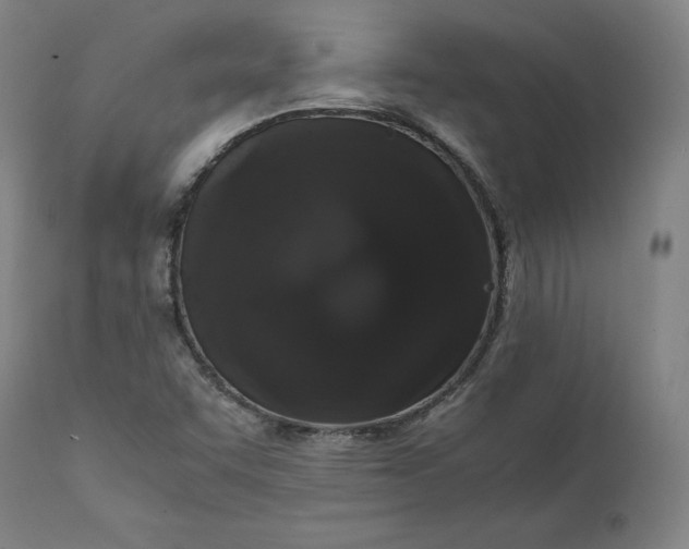 X0000111211455200907151426