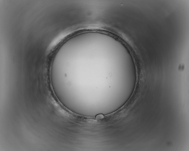 X0000111211456200907151426