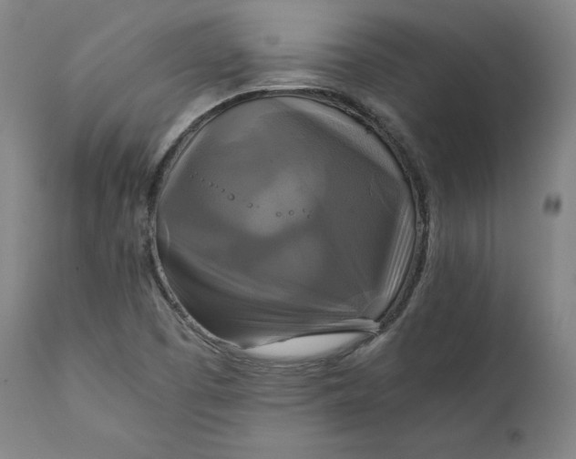 X0000111211457200907151426