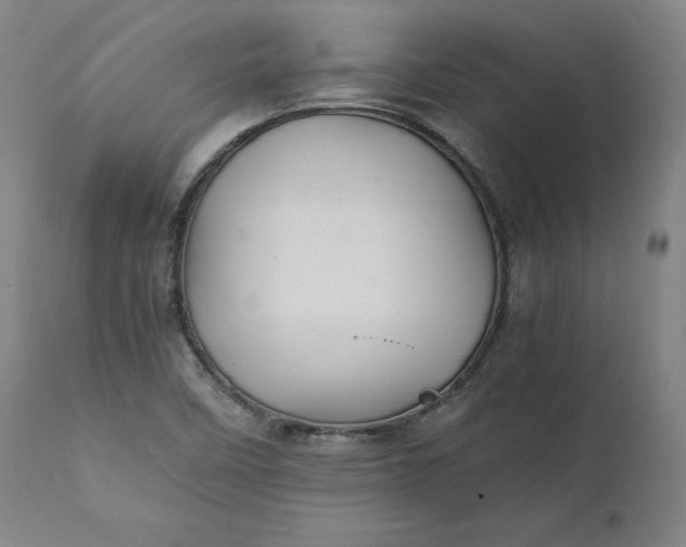 X0000111211458200907151426