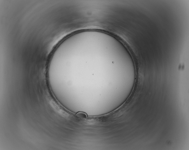 X0000111211460200907151426