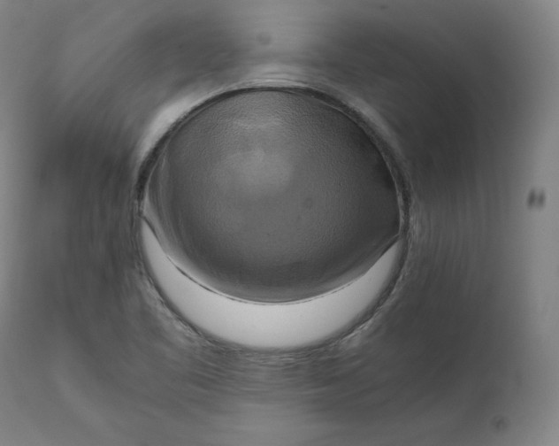 X0000111211461200907151426