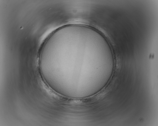 X0000111211462200907151426