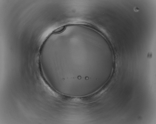 X0000111211463200907151426