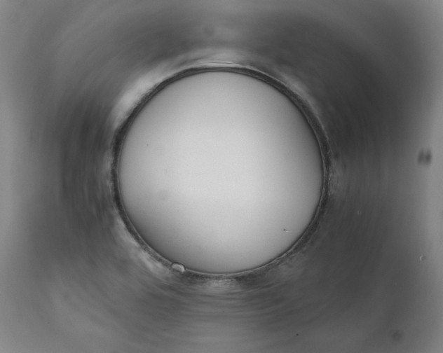 X0000111211464200907151426