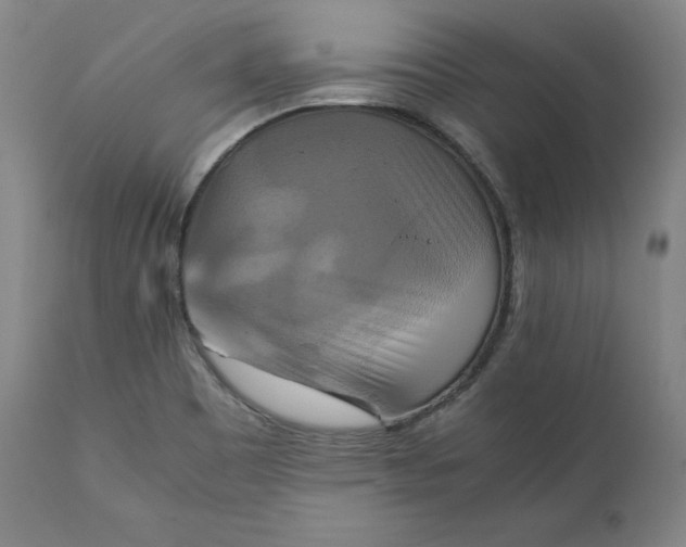 X0000111211465200907151426