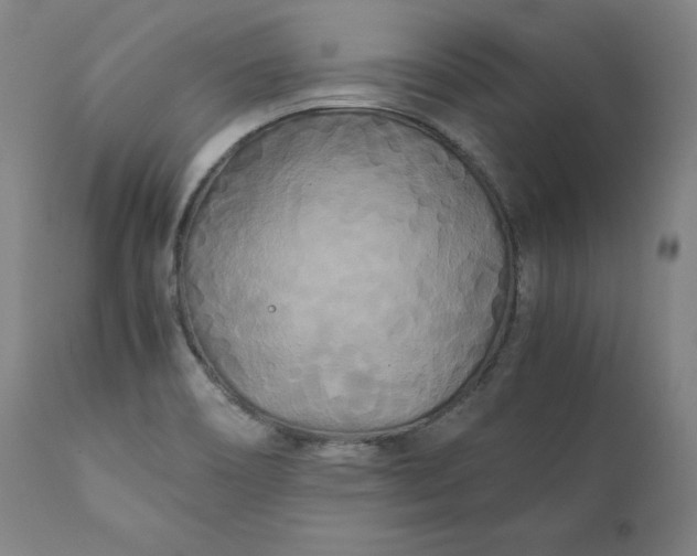 X0000111211466200907151426