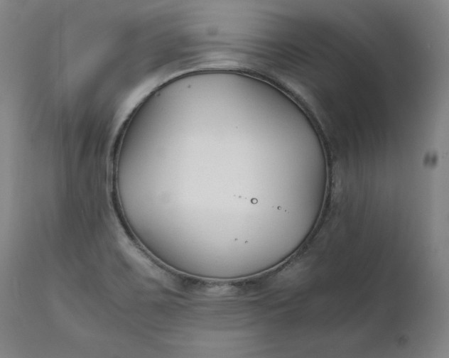 X0000111211467200907151426