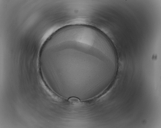 X0000111211469200907151426