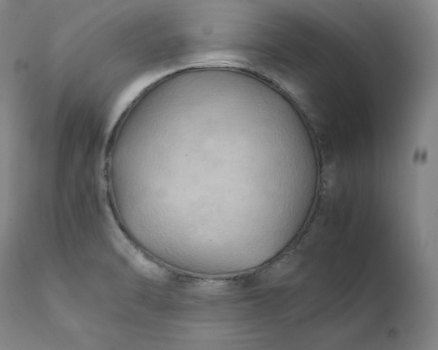 X0000111211470200907151426