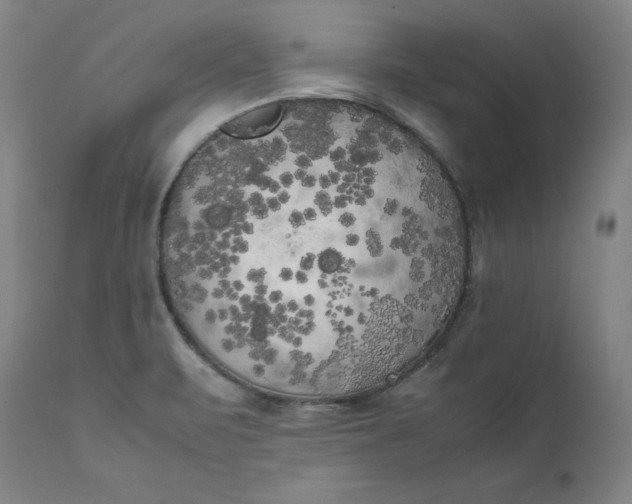 X0000111211471200907151426