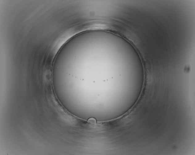 X0000111211473200907151426