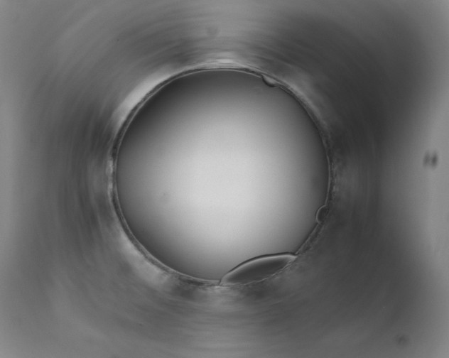 X0000111211476200907151426