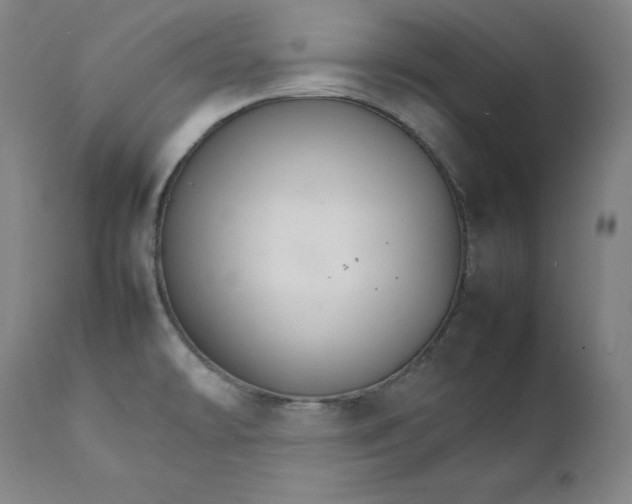 X0000111211478200907151426