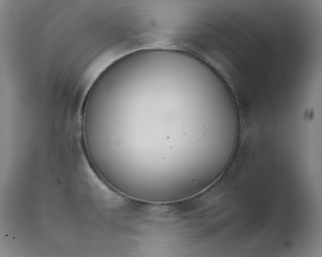 X0000111211479200907151426