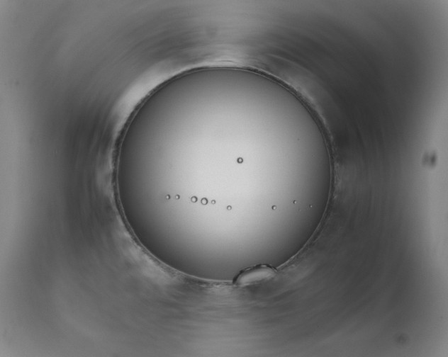 X0000111211480200907151426