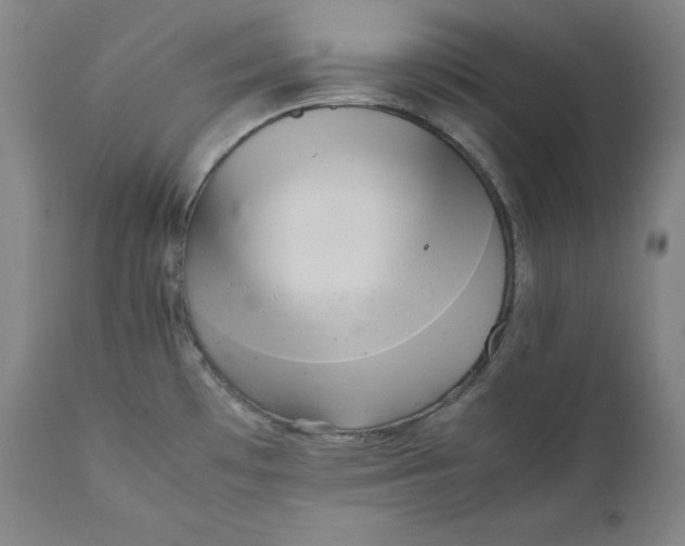 X0000111211481200907151426