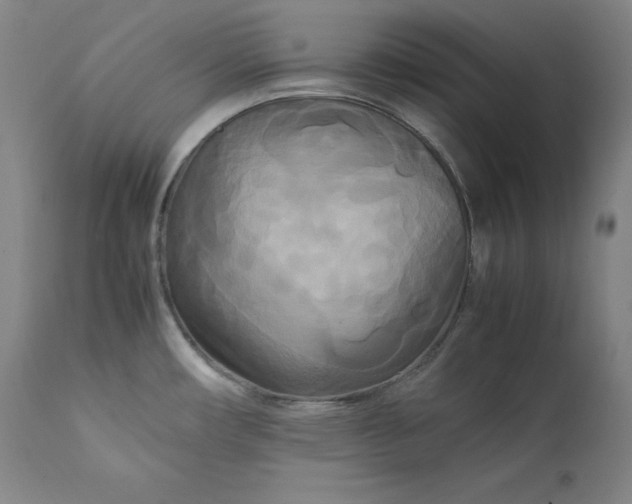 X0000111211482200907151426