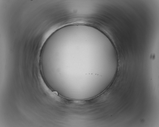 X0000111211483200907151426