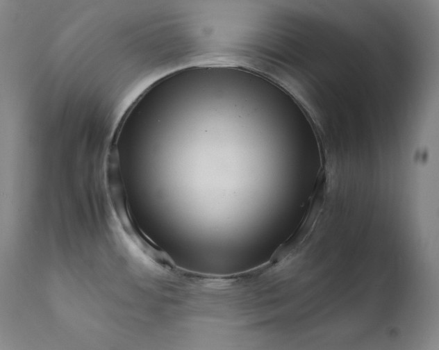 X0000111211484200907151426