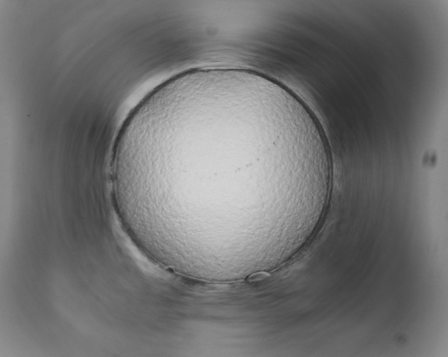 X0000111211485200907151426