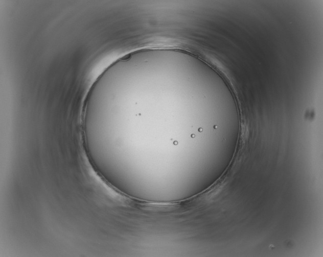 X0000111211487200907151426