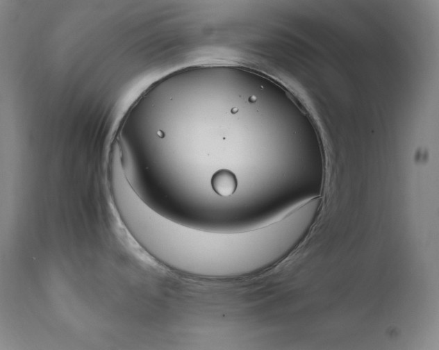 X0000111211488200907151426