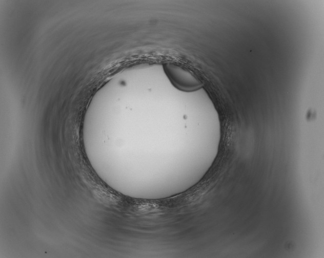 X0000111211489200907151425